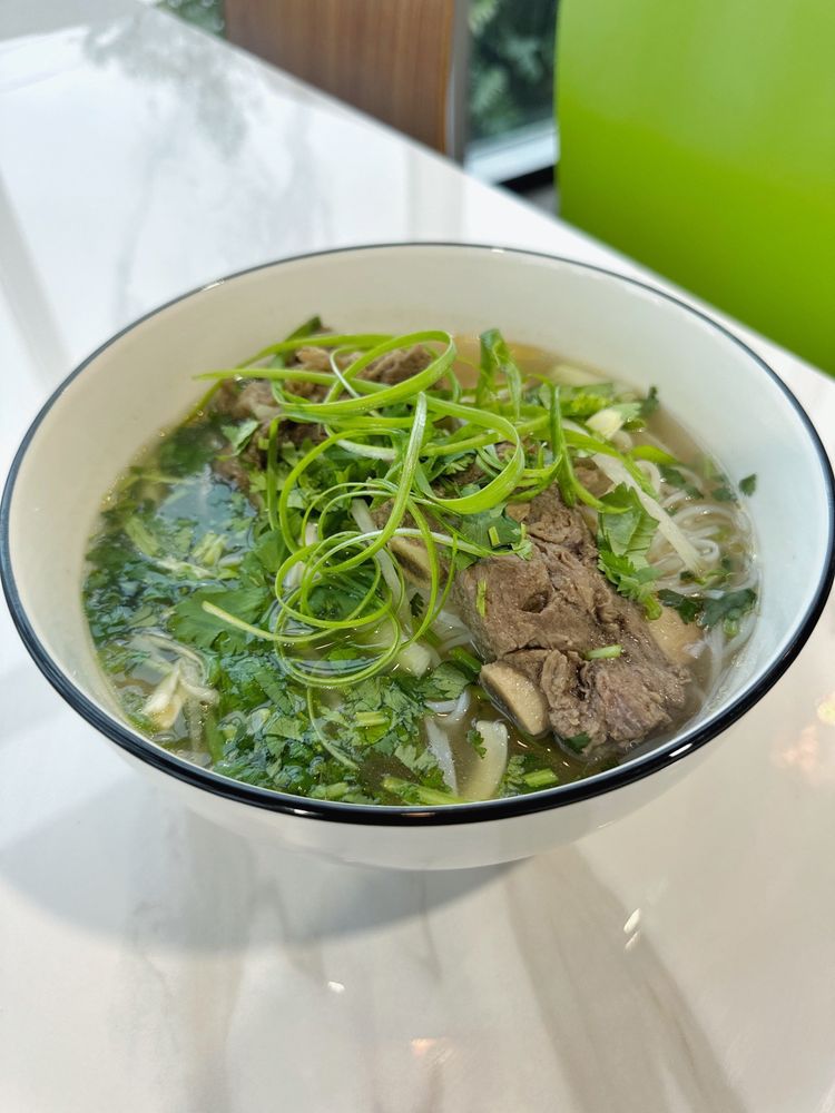 Beef Rib Pho