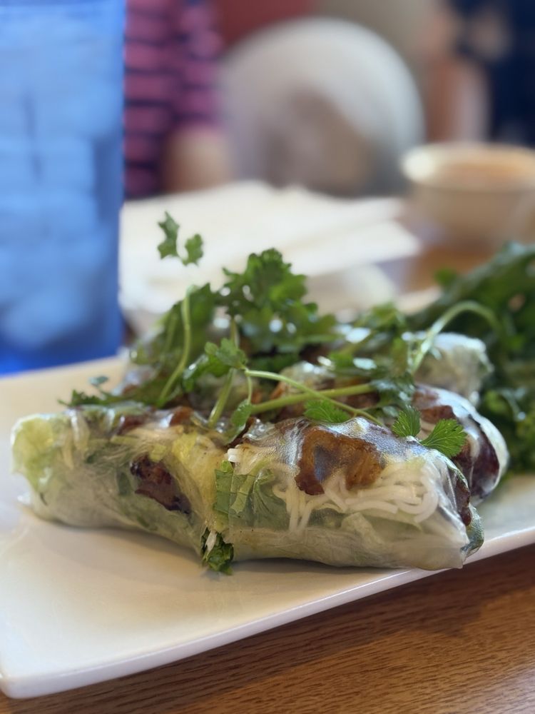 BBQ Pork Spring Rolls