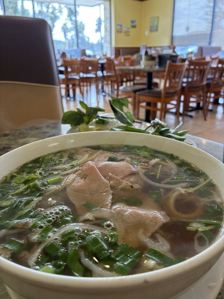 House Special Pho