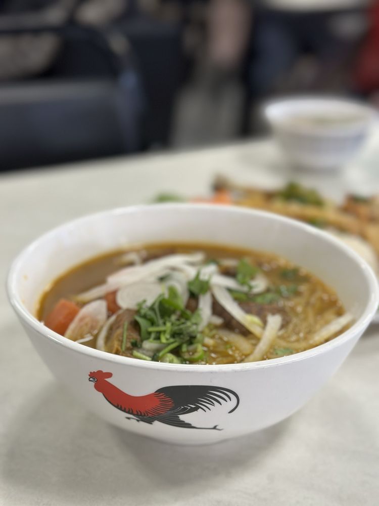 Beef Stew & Egg Noodle