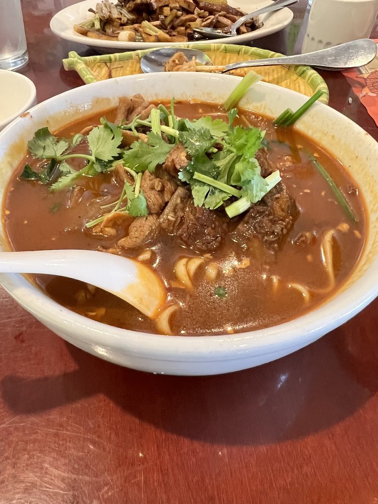 Spicy Braised Beef Noodles