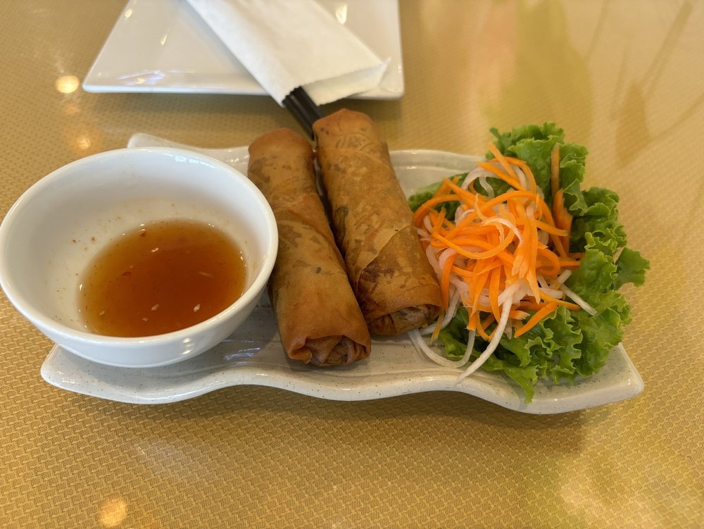 Crispy Spring Rolls