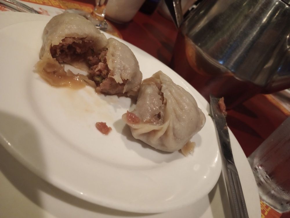 Fried Meat Dumplings