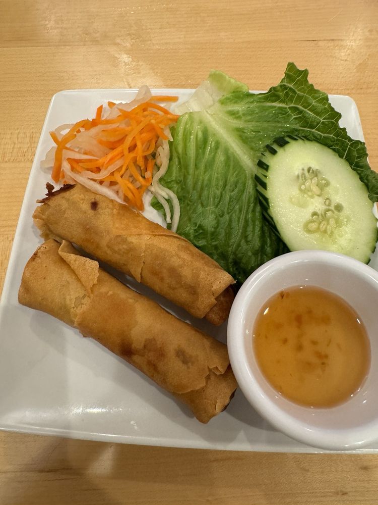 Crispy Spring Rolls