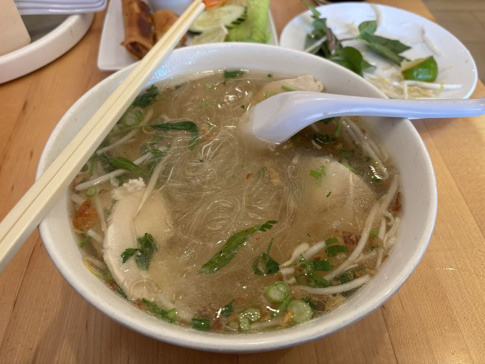 Clear Noodle Chicken Soup