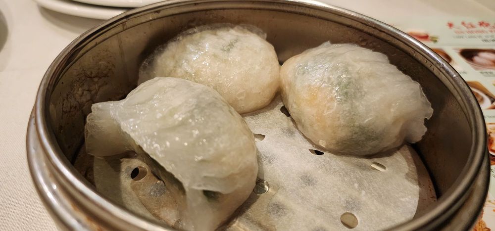 Pan Fried Golden Chive Dumplings