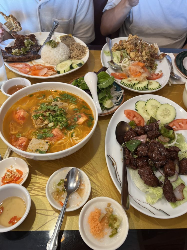 Cow on the Open Field