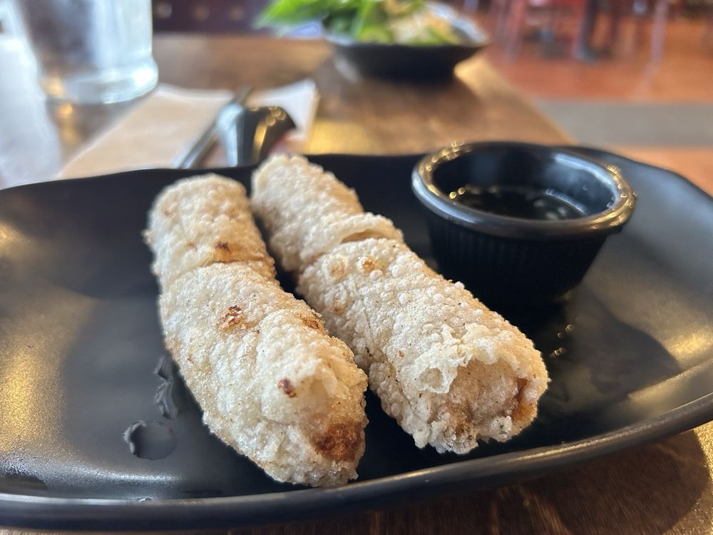 Crispy Spring Rolls