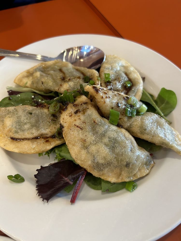 Steam Portabella Mushroom & Leek Dumplings
