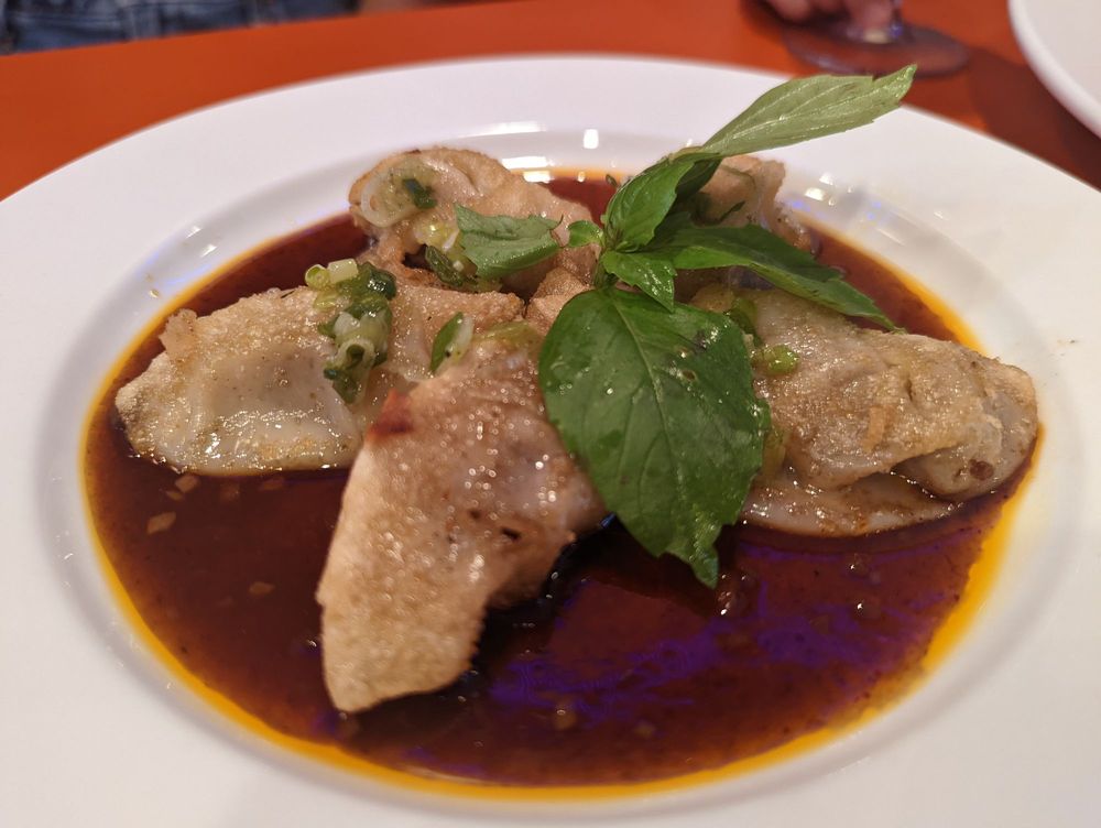 Chicken Curry Dumplings