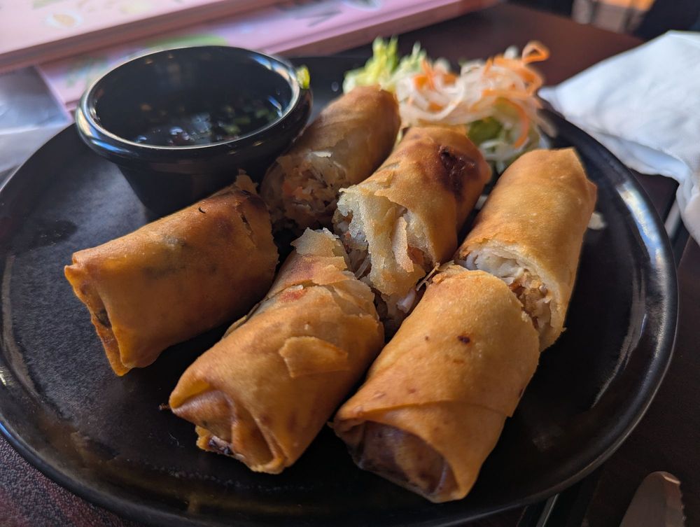 Crispy Spring Rolls