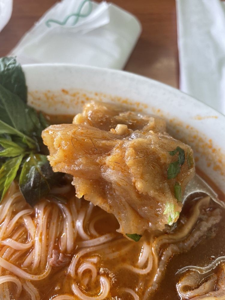 Wonton Egg Noodle Soups