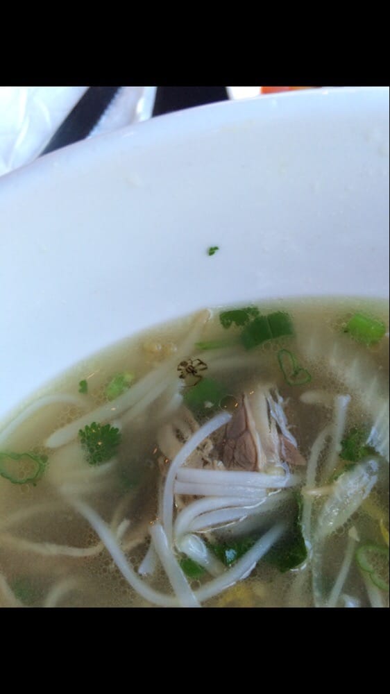 Beef Rice Noodle Soup