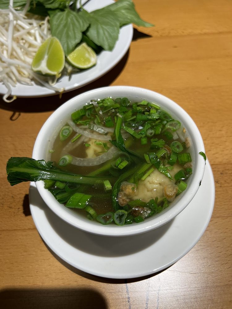 Wonton Soup