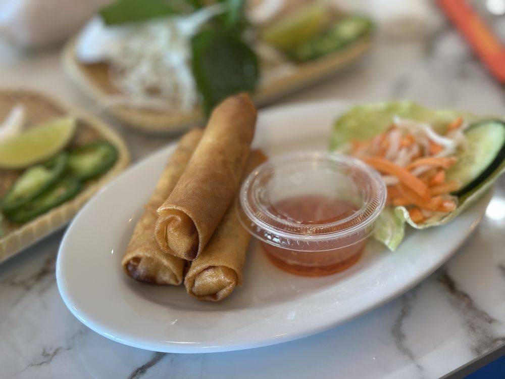 Fried Spring Rolls