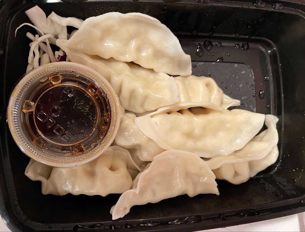 Chicken Dumplings