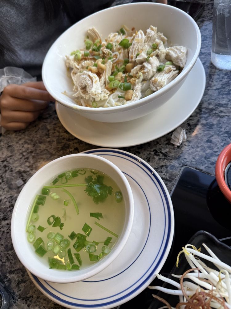 Seasonal Special Chicken Pho
