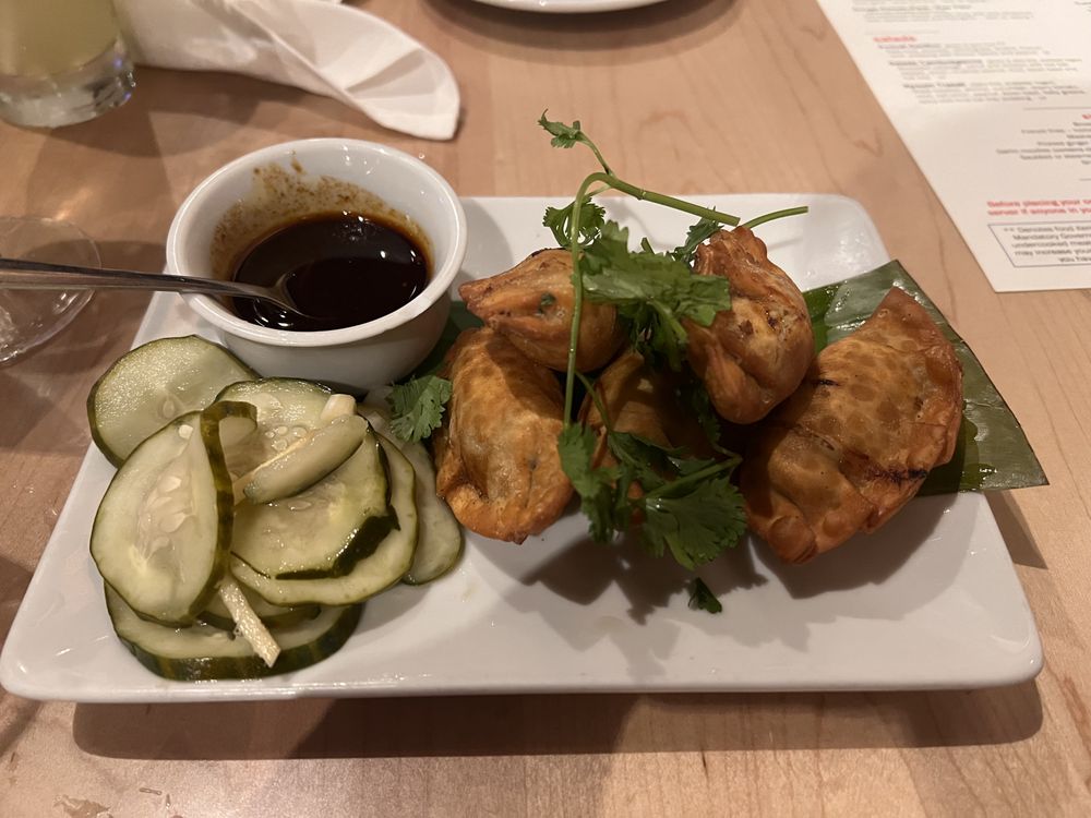 Crispy Pork Dumplings