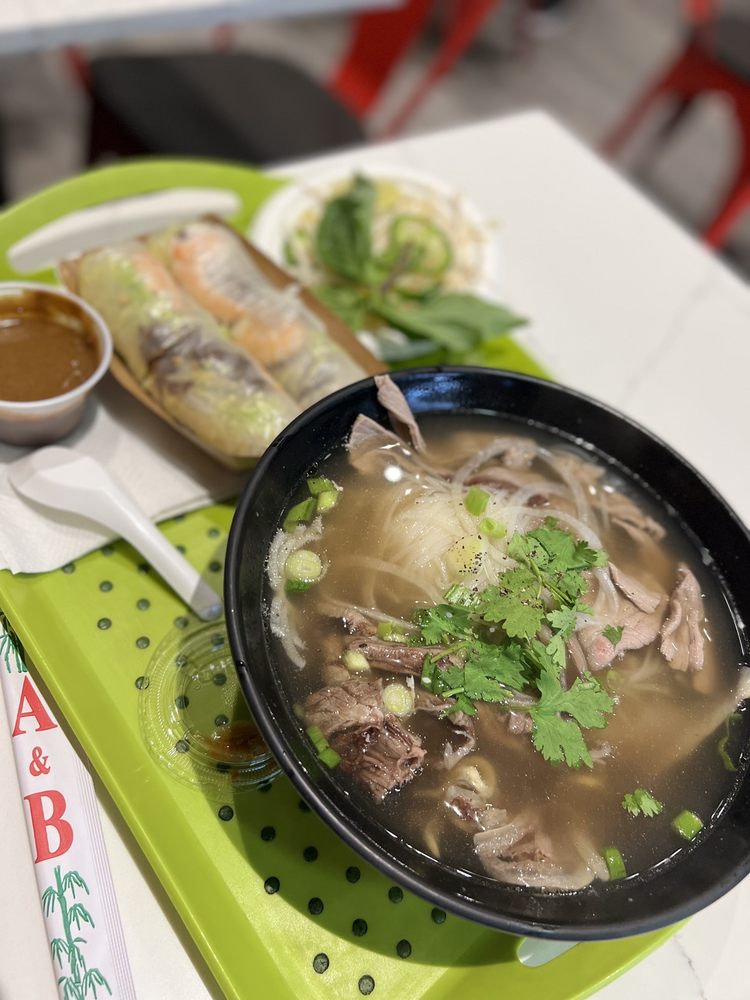 Vietnamese Noodles Soup