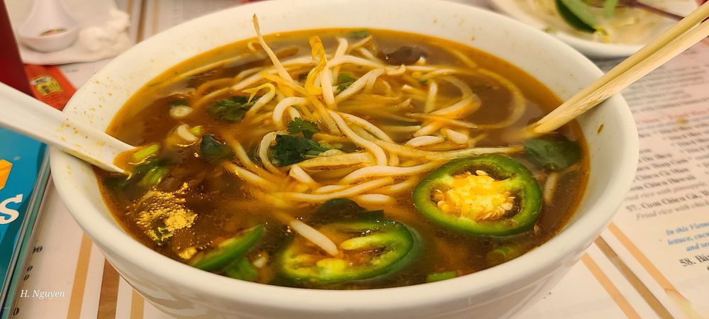 Wonton Yellow Noodle Soup