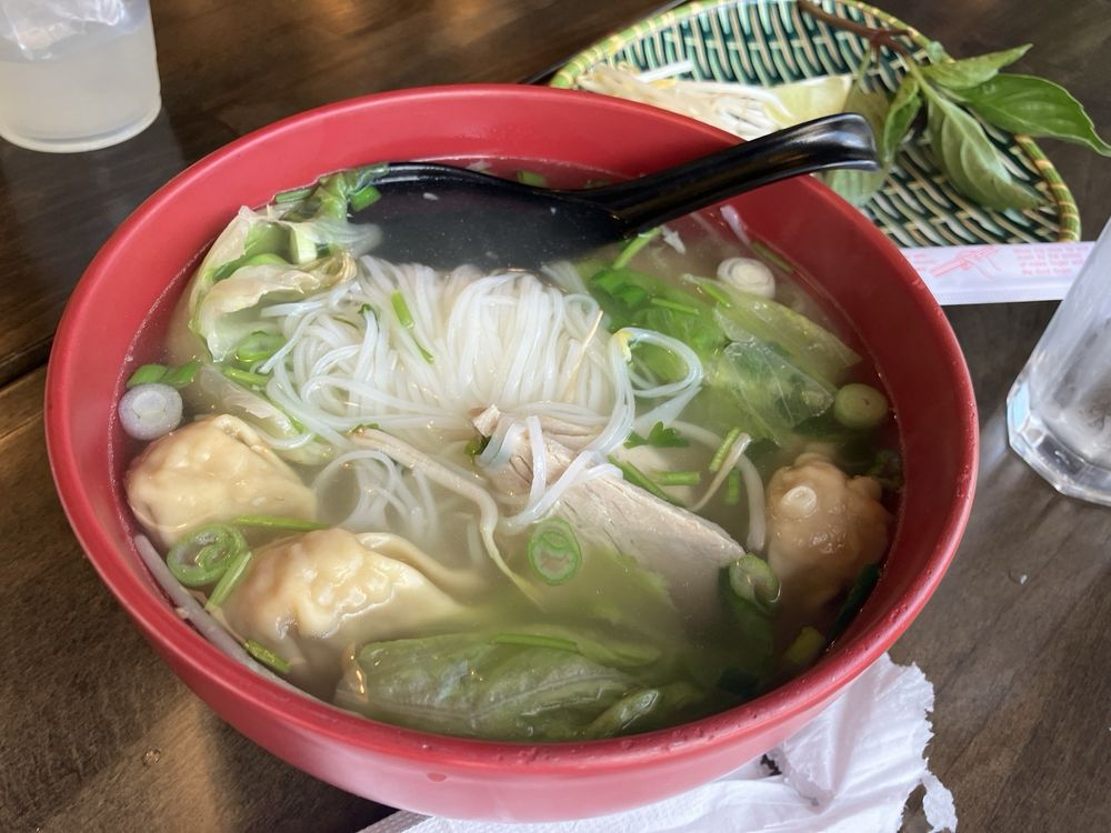 Duck Noodle Soup