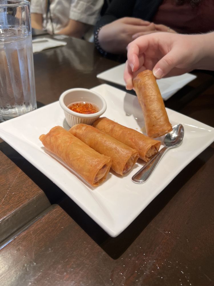 Veggie Spring Roll