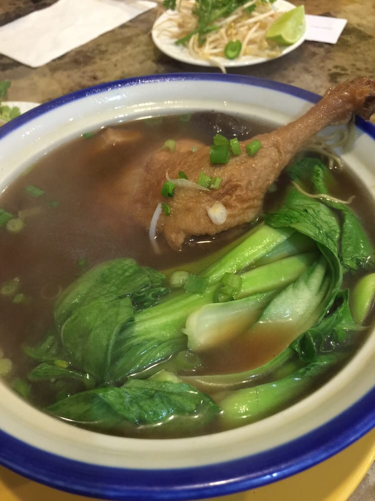 Egg Noodle Duck Soup