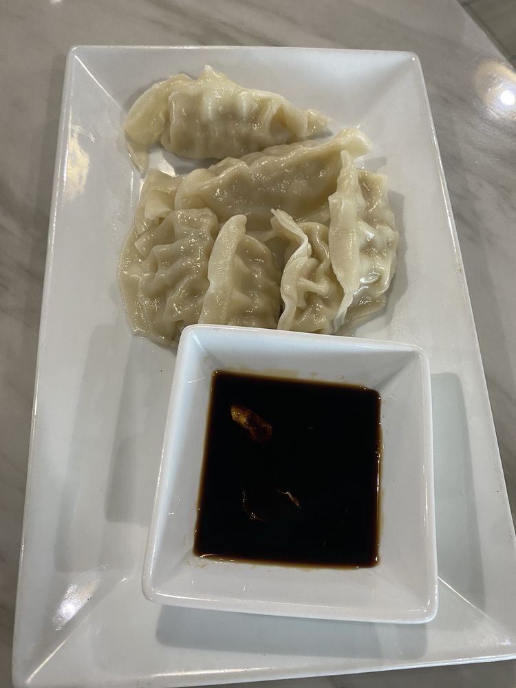 Chicken Dumplings