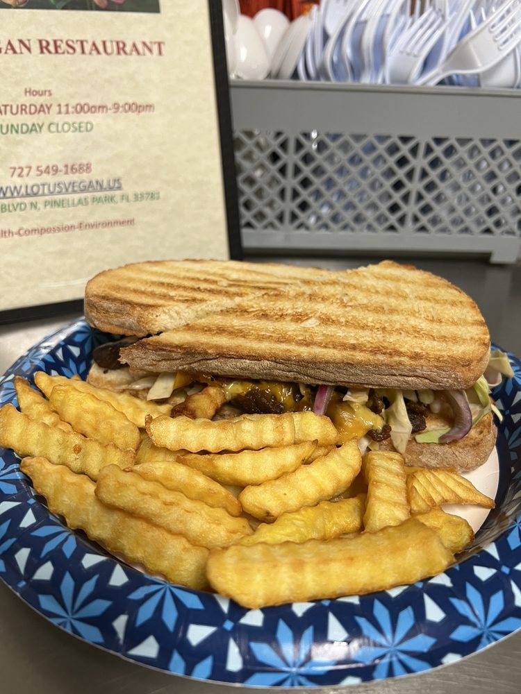 Tampa Bay Panini