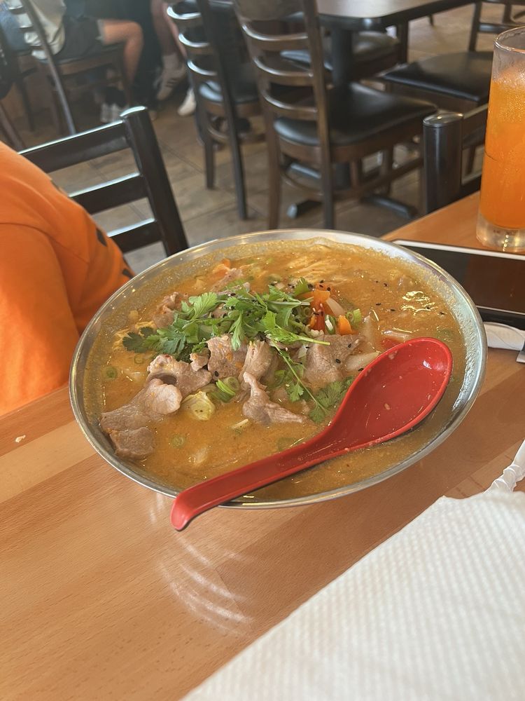 Curry Udon Noodle Soup