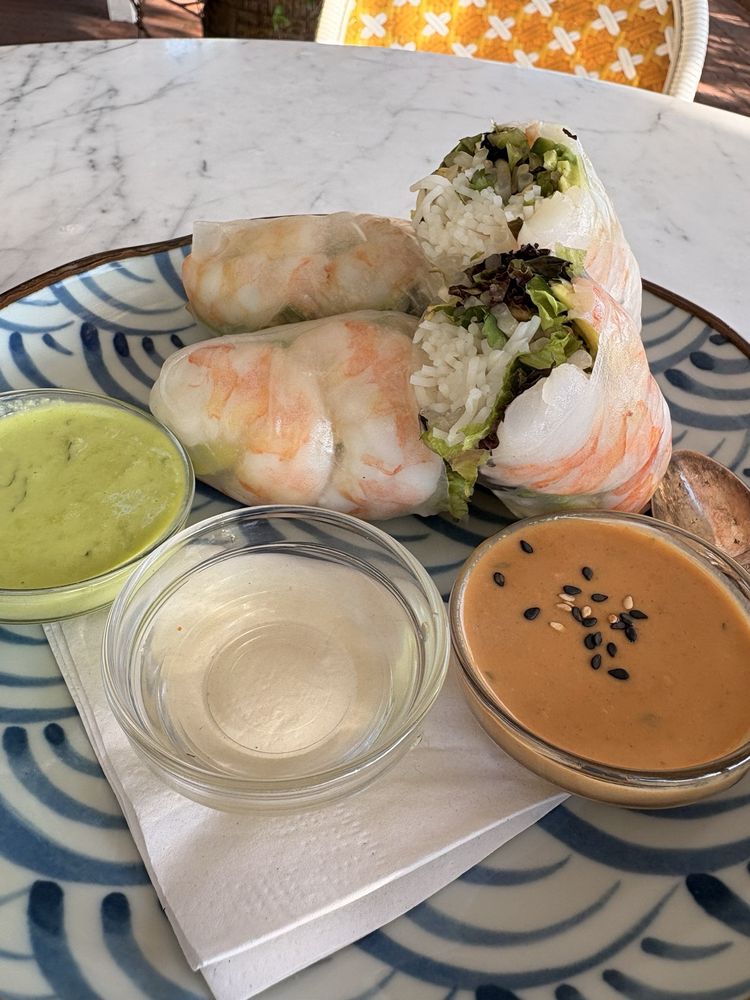 Tofu Avocado Spring Roll