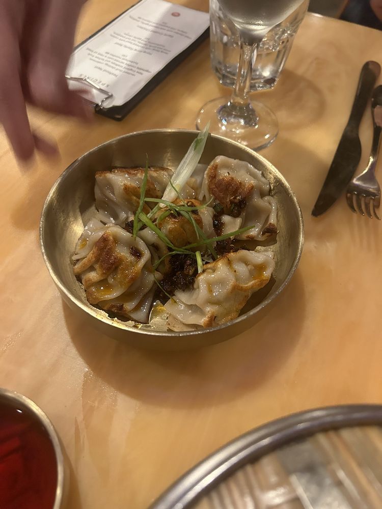 Pork Dumplings