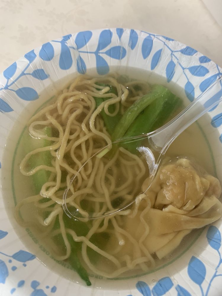 Wonton Noodle Soup
