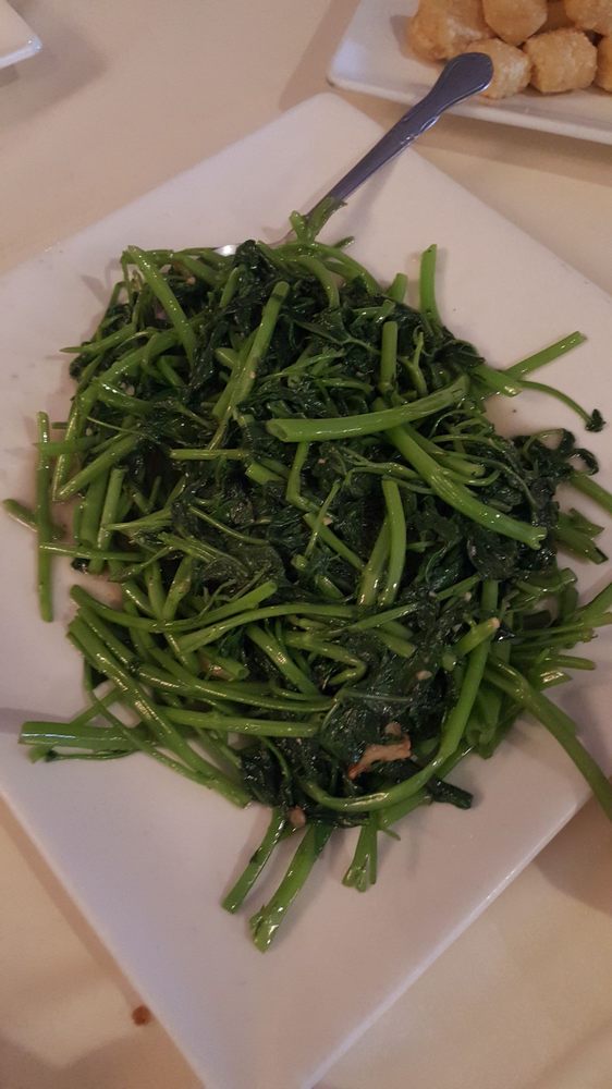 Stir Fried Egg Noodle