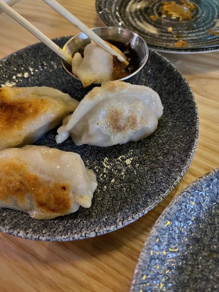 Chicken Dumplings