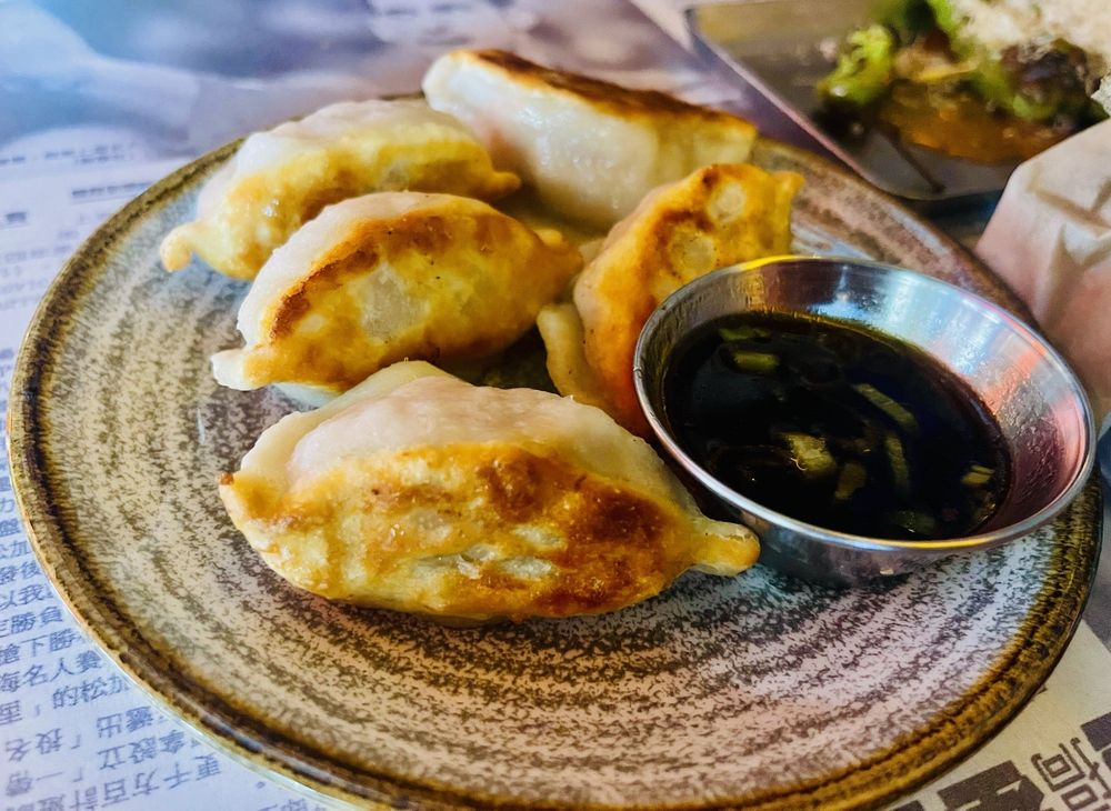 Yi-yi's Chicken Dumplings