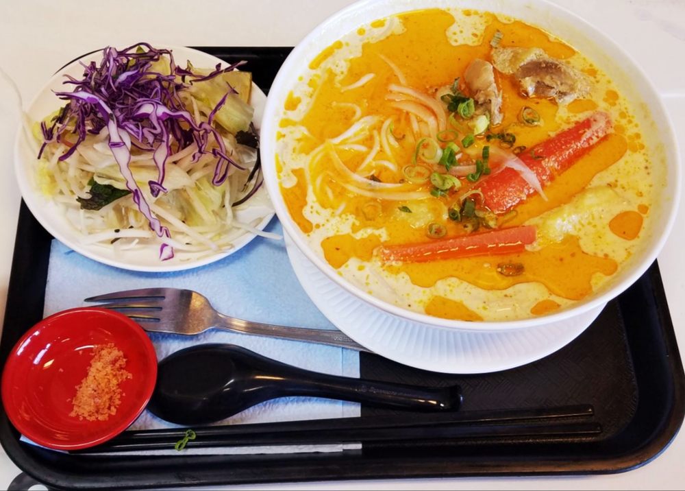 Shredded Chicken Soup