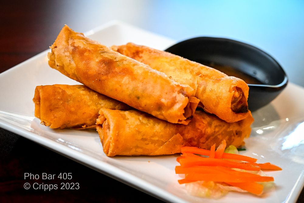 Crispy Spring Rolls