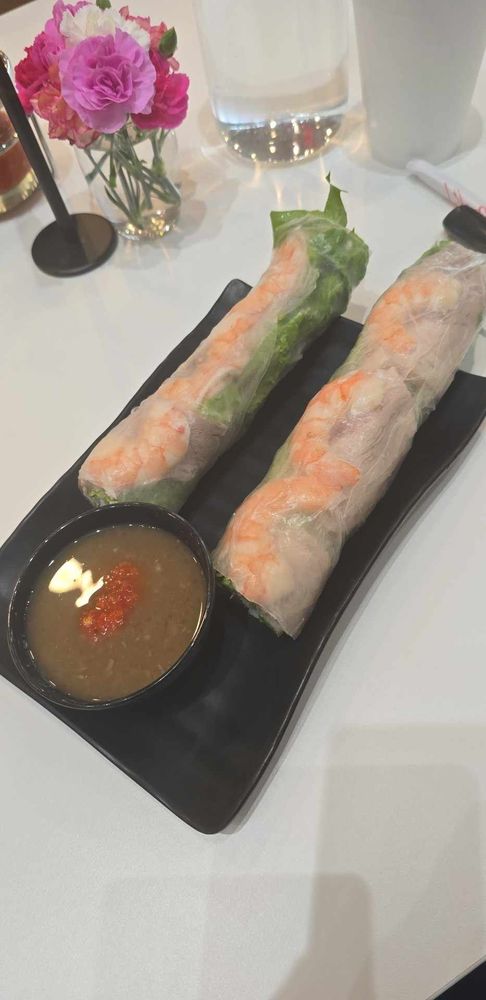 Spring Roll Plates