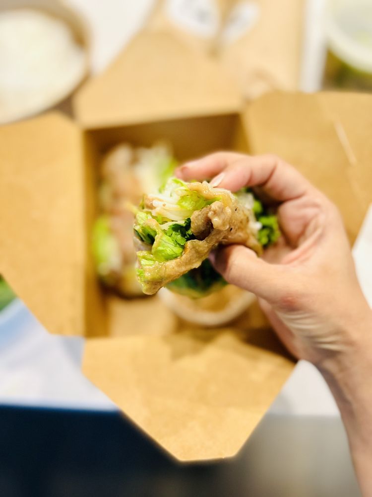 Chicken Breast Spring Rolls