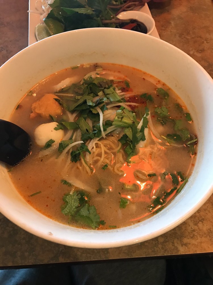 Pho Noodle Soups