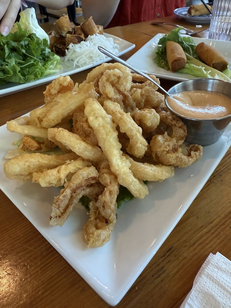 Fried Spring Rolls