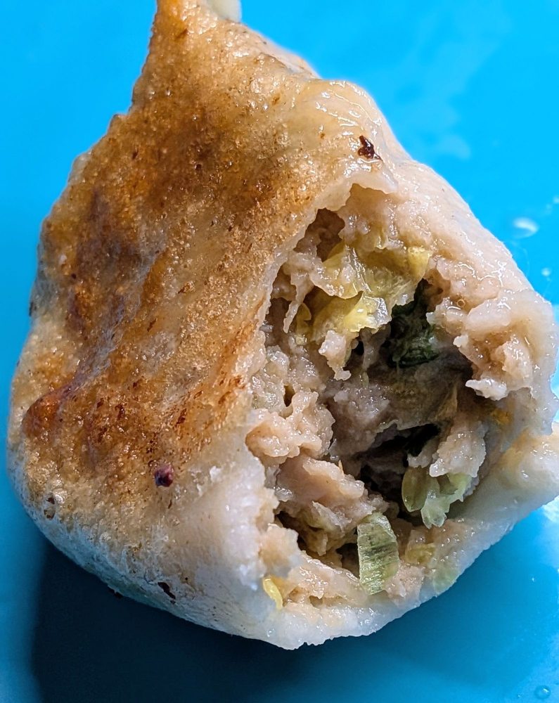 Pan Fried Dumplings