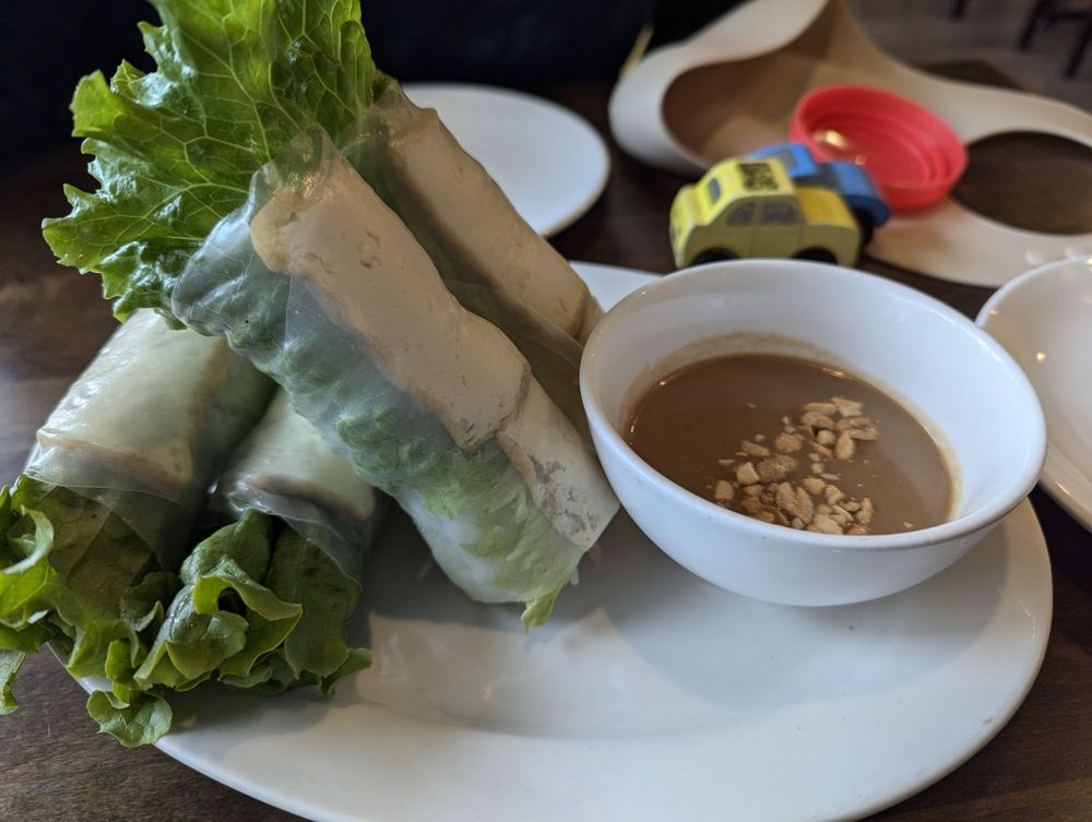 Tofu Spring Rolls