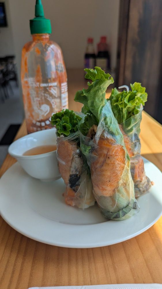 Salmon Spring Rolls