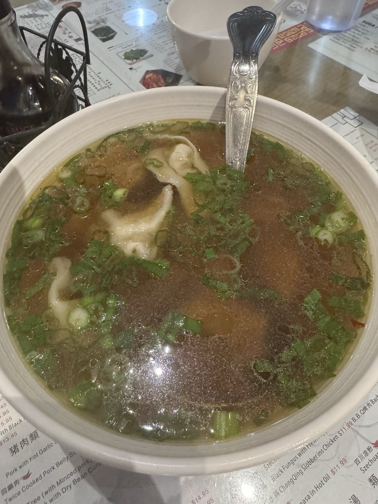 Wonton Soup