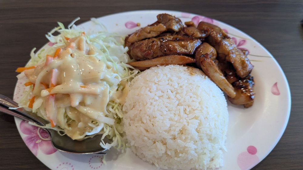 Kids Chicken Teriyaki