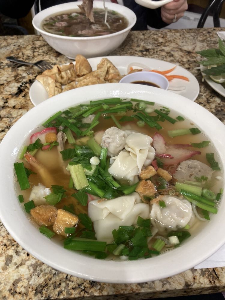 Combination Egg Noodle Wonton Soup