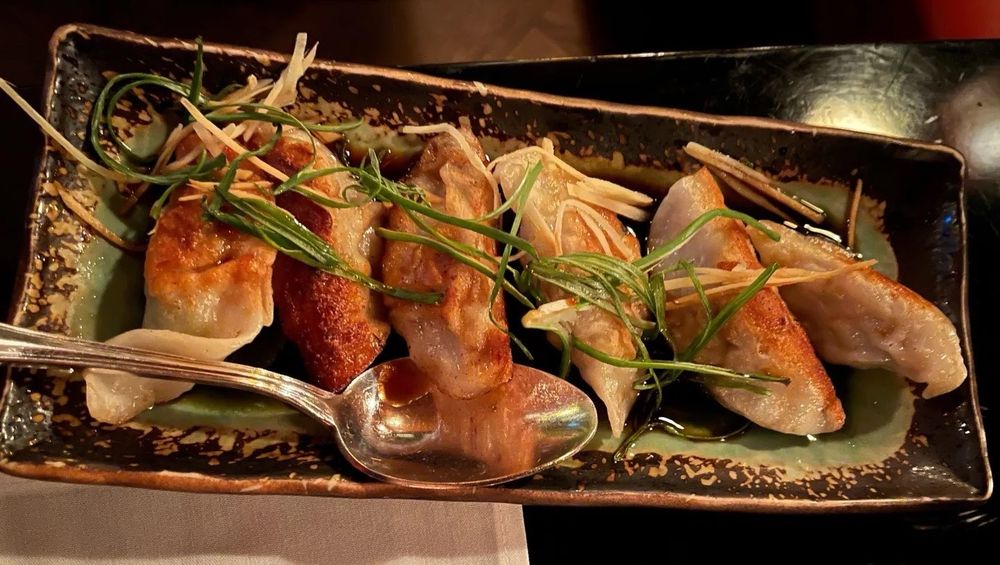 Pan Seared Chicken Dumplings