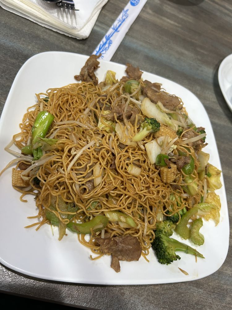 Pan Fried Egg Noodles